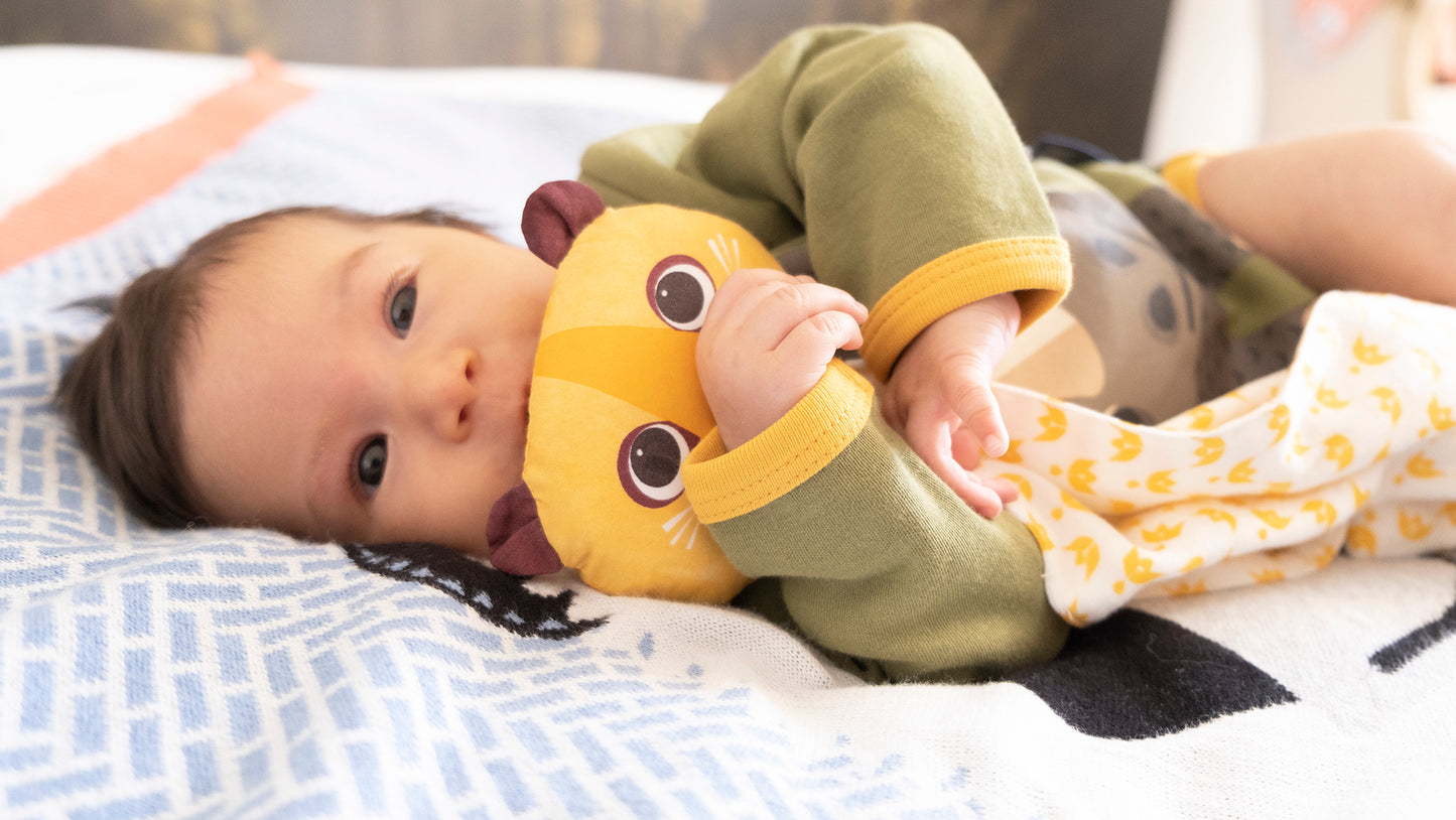 Organic Cotton Baby Comforter