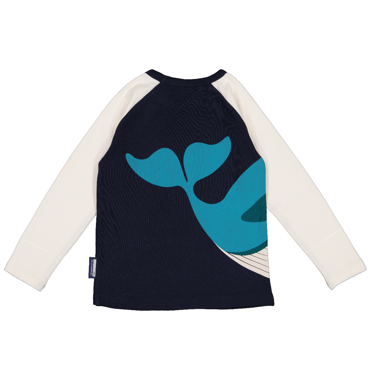 Long Sleeve Raglan Top
