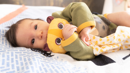 Organic Cotton Baby Comforter